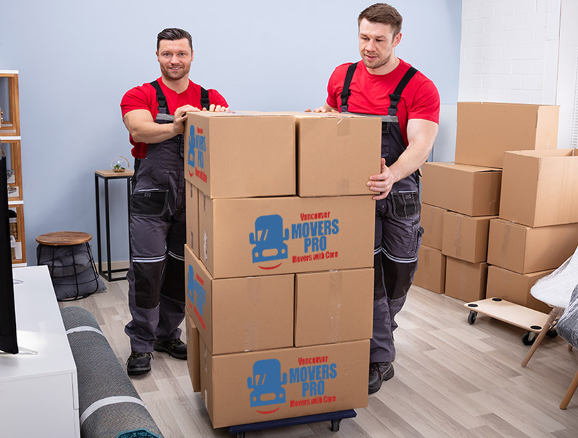 Coquitlam office movers